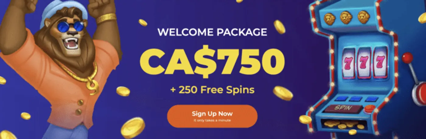 Cashout tradução