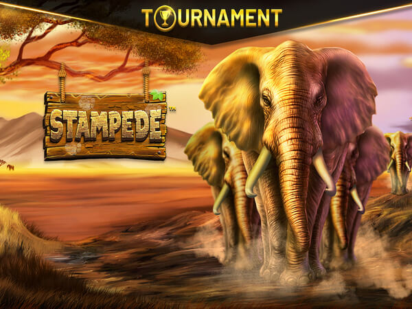 Bc game download